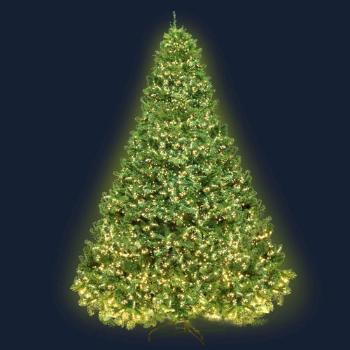 Jingle Jollys Christmas Tree 2.4M Xmas Tree Decorations 3190 LEDs 8